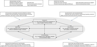 Mood Disorders in Young People With Acquired Brain Injury: An Integrated Model